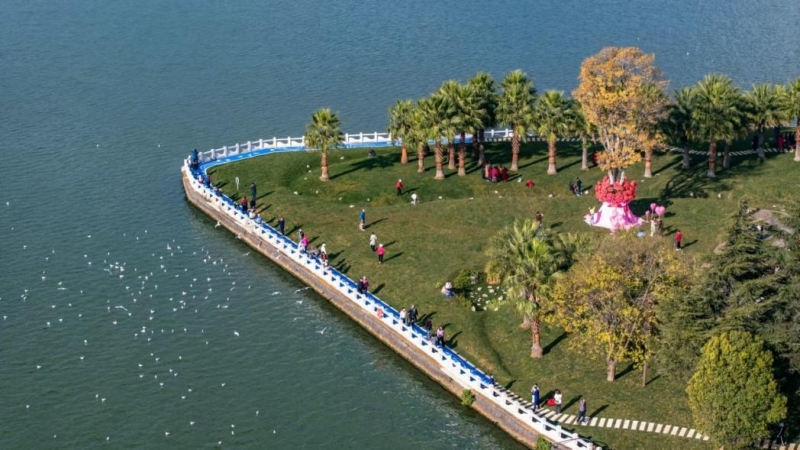 引爆全媒體熱潮！新年慶福保，中機國際助力福保半島鄉(xiāng)村振興建設