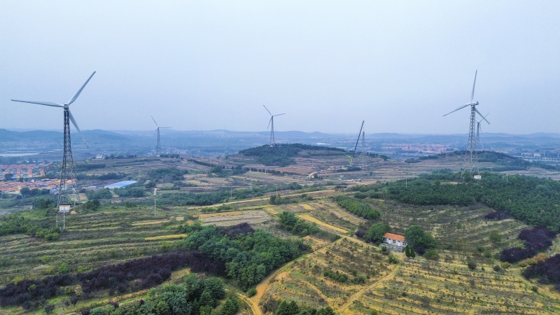 以大代小，青島大橋風場改造的“煥新密碼”